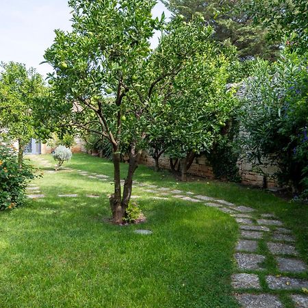 Domus Templaris Bed & Breakfast Terlizzi Exterior photo