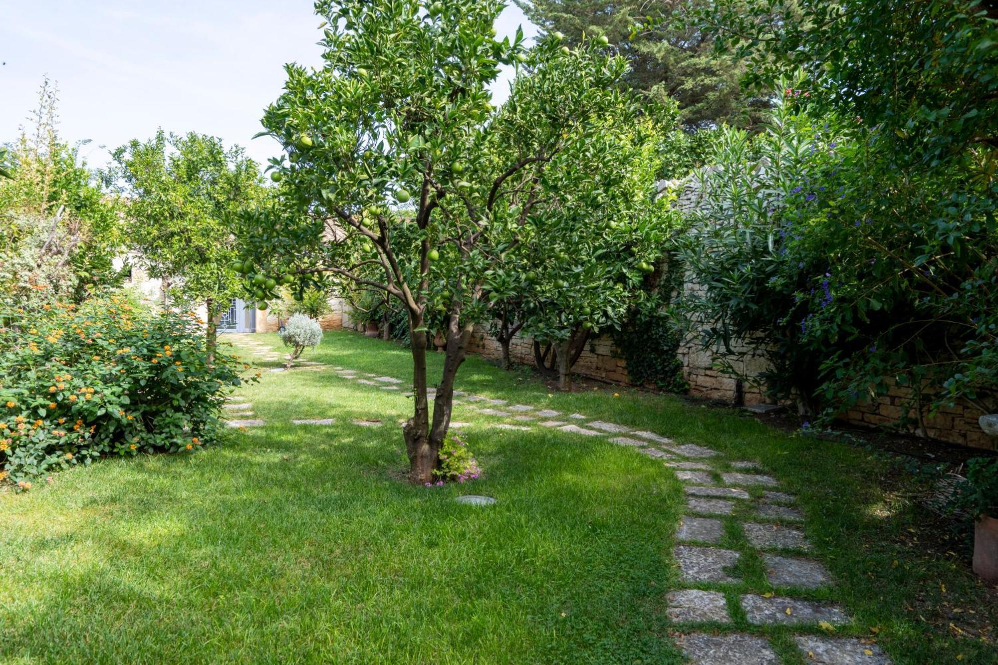 Domus Templaris Bed & Breakfast Terlizzi Exterior photo